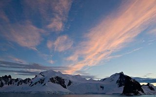 The Underwater World of Antarctica  | The underwater world of antarctica