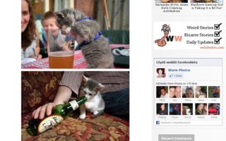 Cats Who Love to Drink Beer | How to drink beer! This cats will show you...Store the beer in a cool place. Beer should always be stored in a fridge.