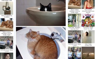 Cats in sink | Cats like to sleep and play everywhere. Take a look...