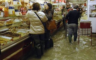 Venetsia hukkuu | tulvan poikasta