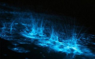 Neon lake – natural phenomenon | At one of the lakes in Australia, was caught a wonderful natural phenomenon. This lake was lit by neon light, they say that it happened as a result of microorganisms. Very beautiful sight and very rare.