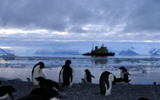 Beautiful Antarctica | Antarctica is deprived of many things that are common in other parts of the globe – the temperature above -20 degrees, lush flora and fauna, a pleasant warm breeze, day and night of 12 hours, and similar things.