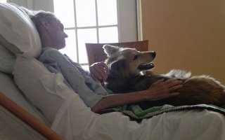 Final Wish | A dying homeless man’s last wish was to see his dog one more time. Yurtie, a female dog, used to live with Cedar Rapids 57-year-old Kevin McClain in his car. Unfortunately, Kevin became ill with lung cancer. Hospice employees say it was the most touching 