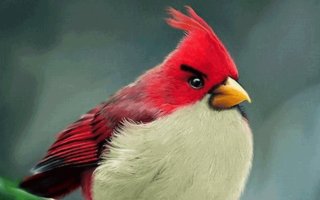 Angry birds in real life | Indian artist Mohamed Raoof created Real life Angry Birds