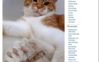 Daniel A Cat Born With 26 Toes | Toes are the digits of the foot of a tetrapod. Animal species such as cats that walk on their toes are described as being digitigrade. 