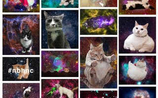 omg cats in space | ...