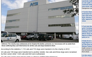  PETA killed more than 1,600 cats and dogs at its Virginia headquarters last year - almost 90% of the animals handed over to the charity's American shelter 