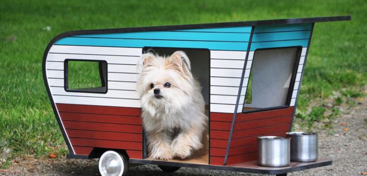 Pikkuisia asuntovaunuja | Pikkuisia asuntovaunuja pienille koirille